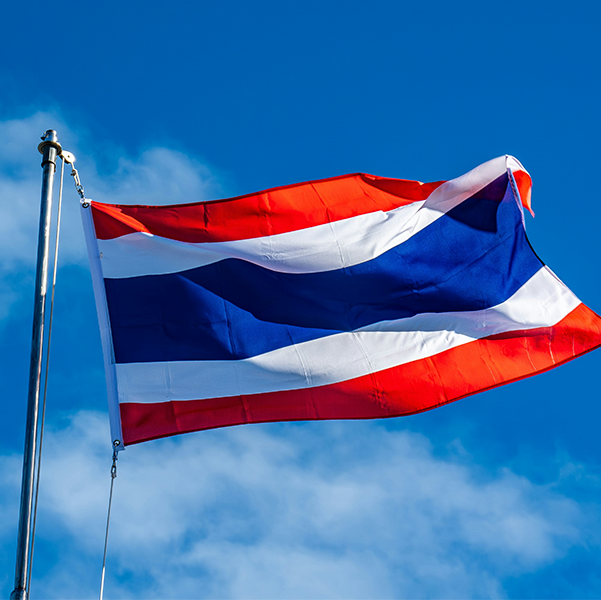 Thailand Market Review, Q4 2024: sales up 11% boosted by stock basket, FX products